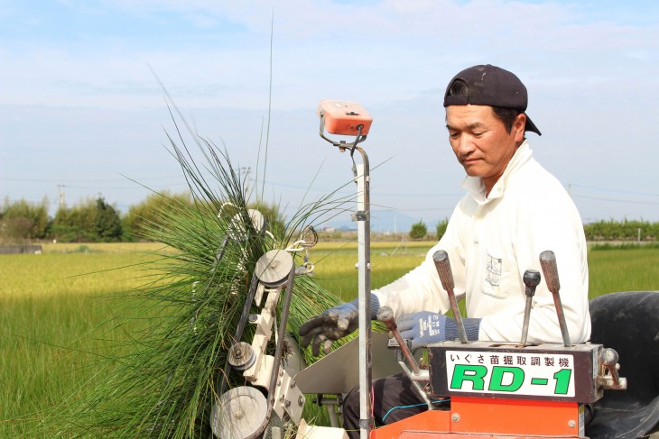 イ草農家の草野さん1